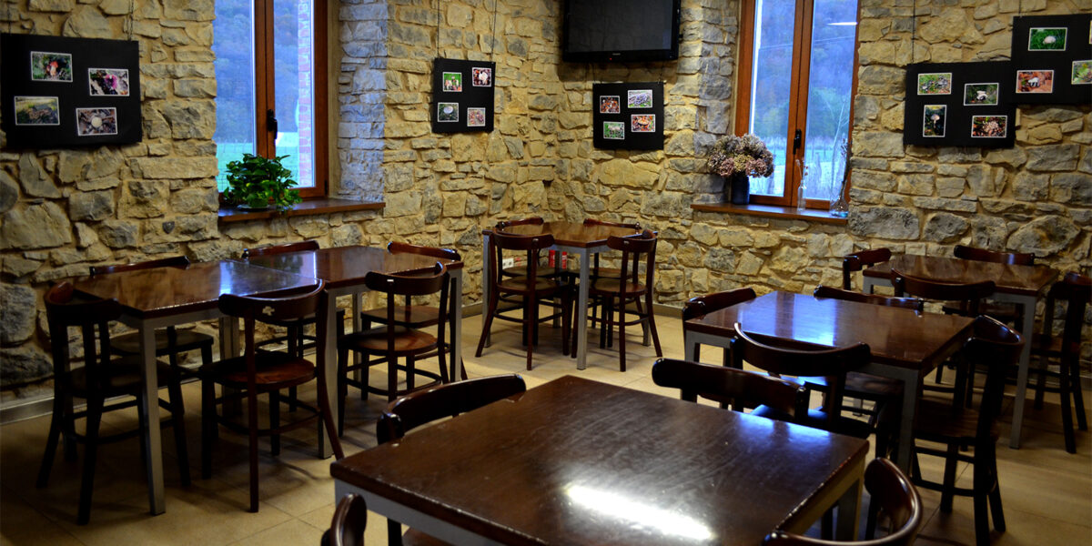 apeztegiberri apeztegiberri